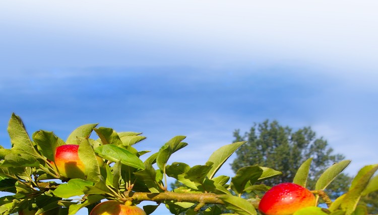 Internationaler Gottesdienst