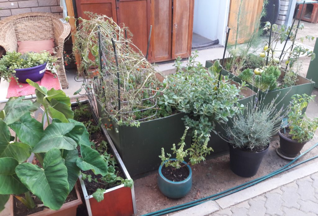 Klimawandel und die Folgen