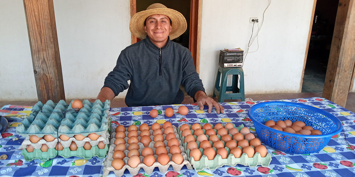 ESM_Legehennenprojekt_Guatemala