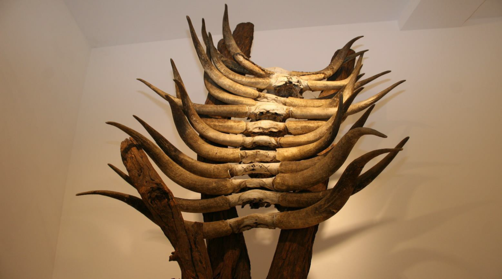 Koloniales Erbe und Rassismus