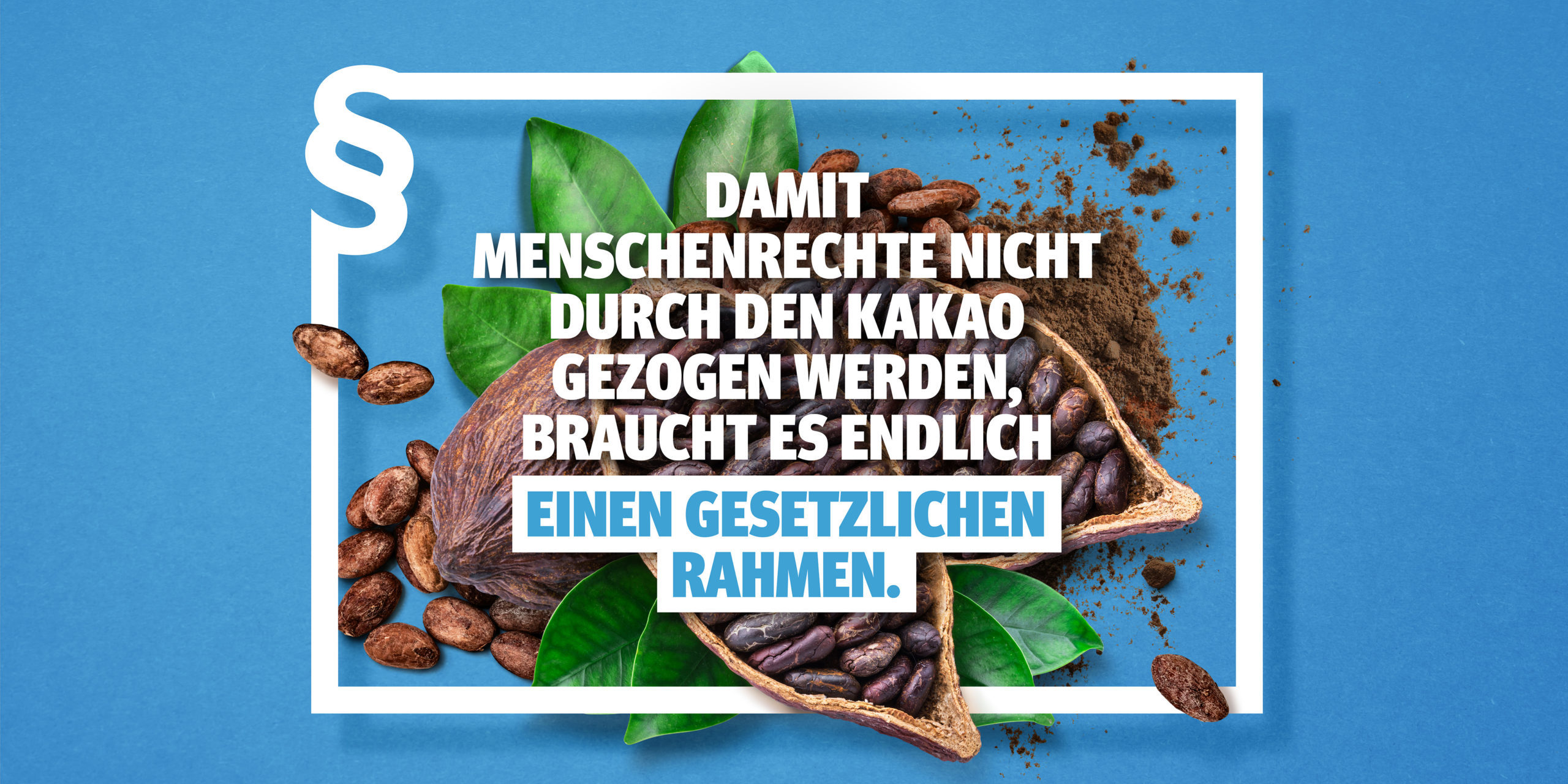 Lieferkettengesetz-Motiv_Kakaoernte_quer._sRGB