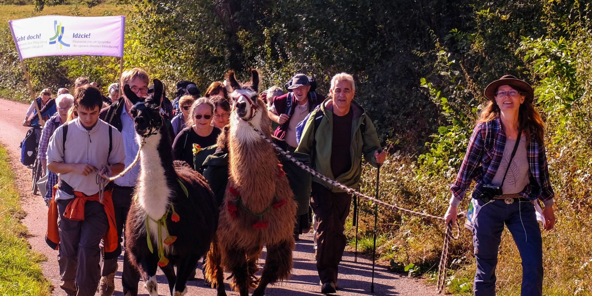 Foto1_Klimapilgern-mit-Lamas_Foto_Jens Knölker_Klimapilgerweg 2021