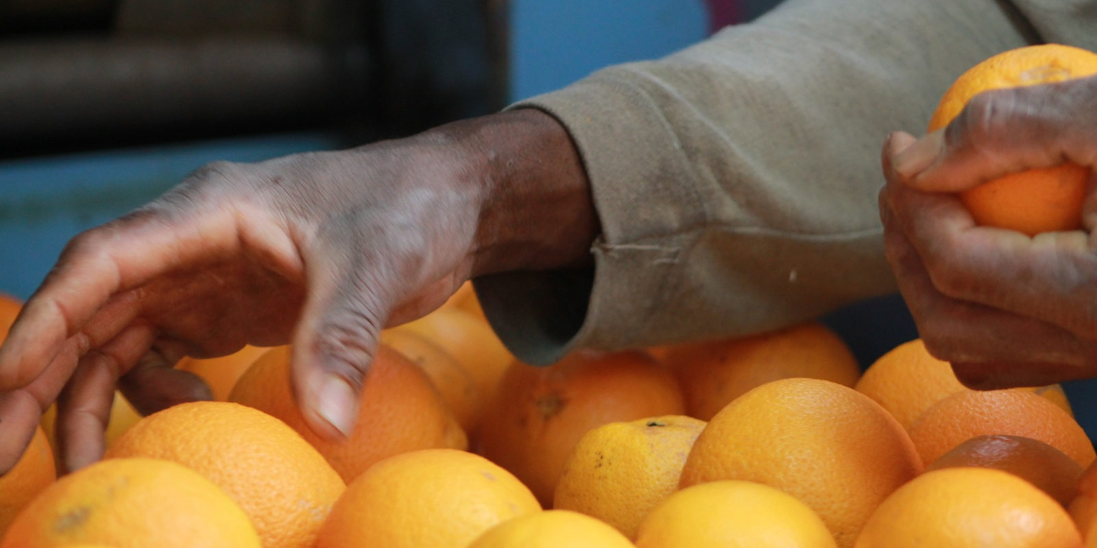 Orangen-Aktion_Rosarno_8747654869_3dad14ee99_h