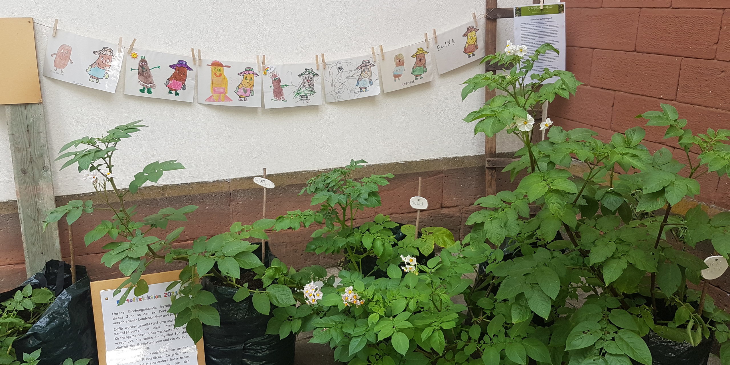 Inga Wolff_protestant Kirchengemeinde Enkenbach