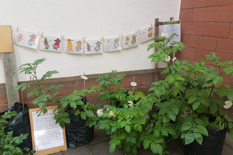 Inga Wolff_protestant Kirchengemeinde Enkenbach