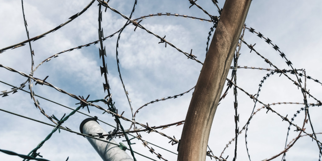 HfO-Broschüre_2022-23_Titelfoto